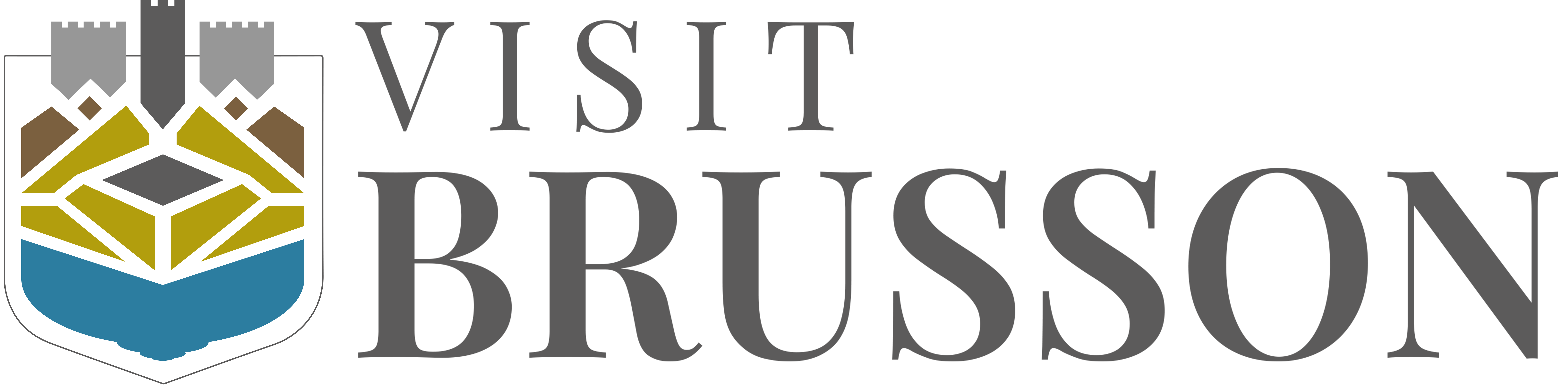Logo visitbrusson