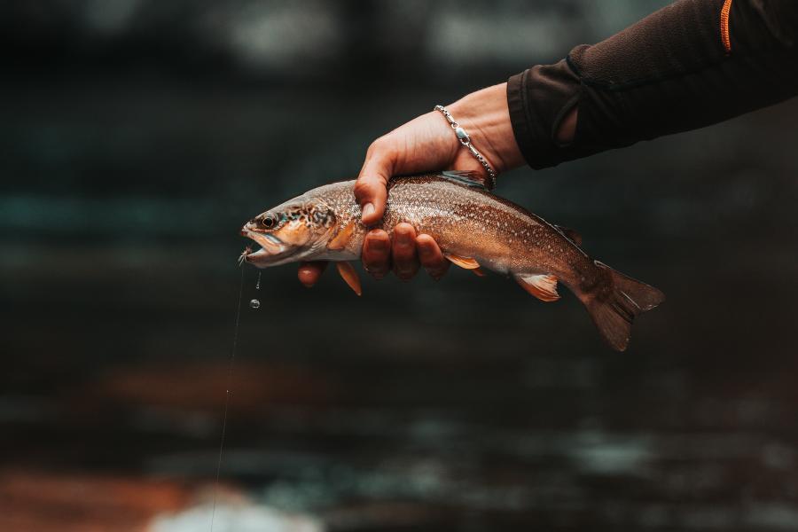 Fishing in Valsesia
