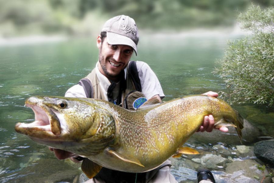 Alagna Reserve