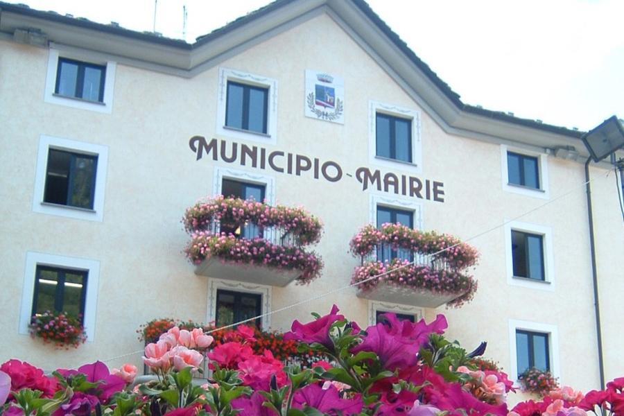 Piazza  Da Emy, piante e fiori di montagna ai piedi del Gran Paradiso