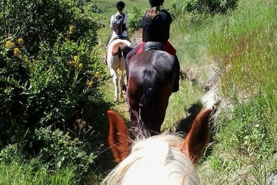 An afternoon at the riding school