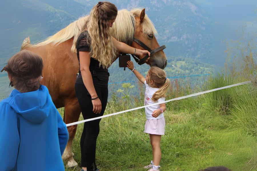 alla scoperta degli animali e della vita d'alpeggio