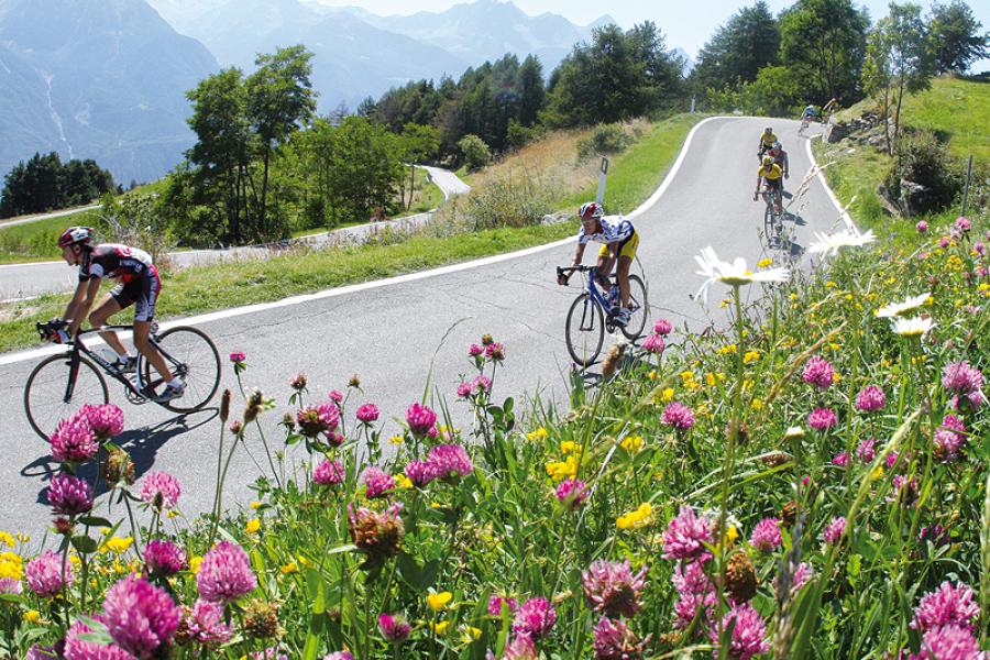 Valle d’Aosta Mont Blanc International Bicycle Race