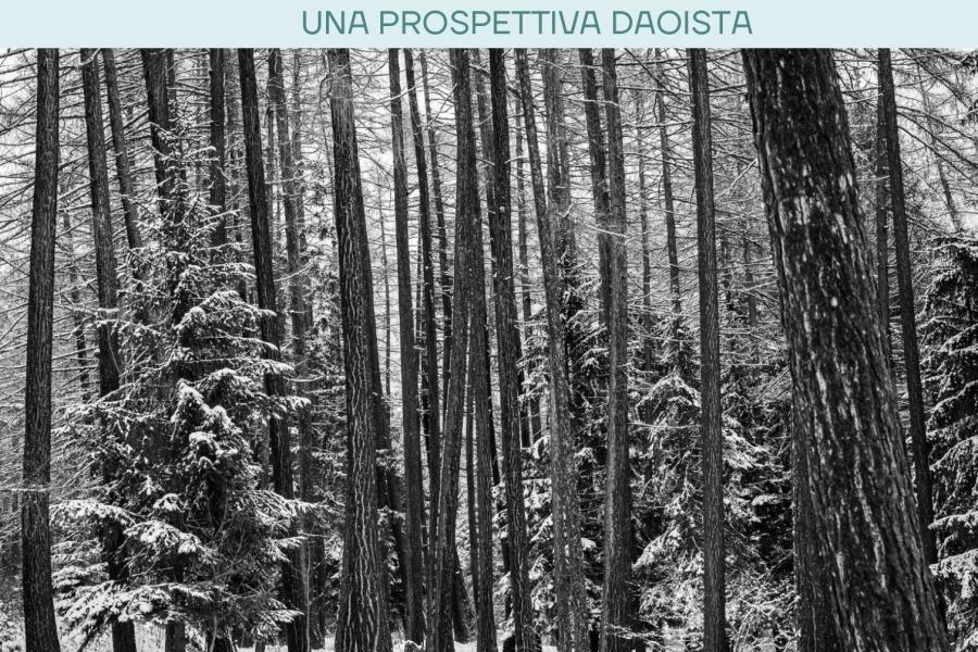 L'inverno e i suoi elementi – Exposition de photos