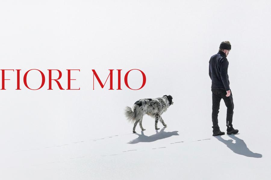 fior mio  Fiore mio" - cinema