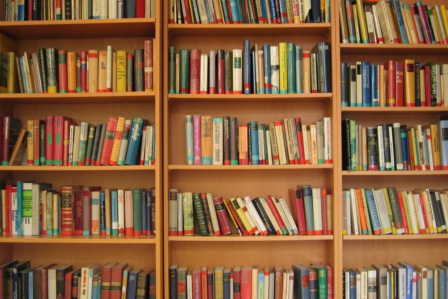 Presentazione del libro "Louise e Fidèle"