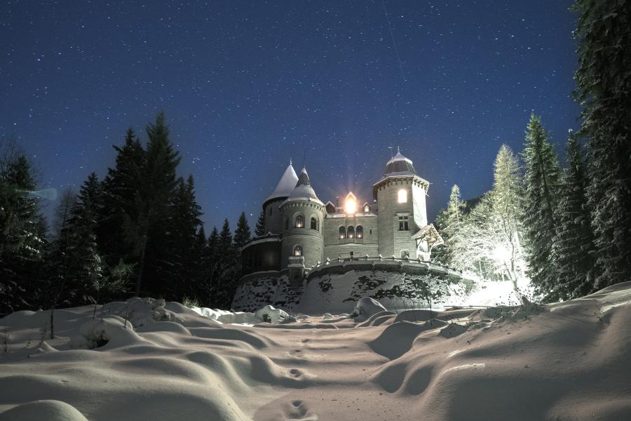 Savoy Castle