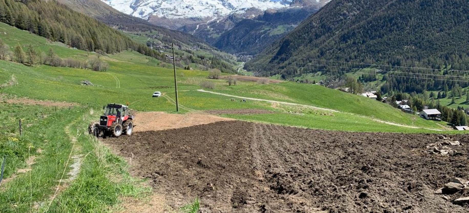 Ritorno al futuro in Val d’Ayas!