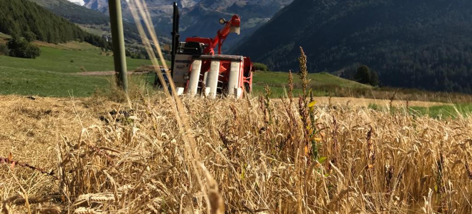 Ritorno al futuro in Val d’Ayas!