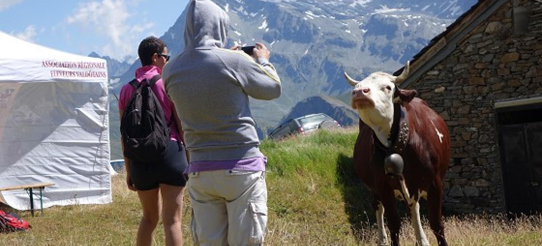 Alpages Ouverts - Una giornata in alpeggio