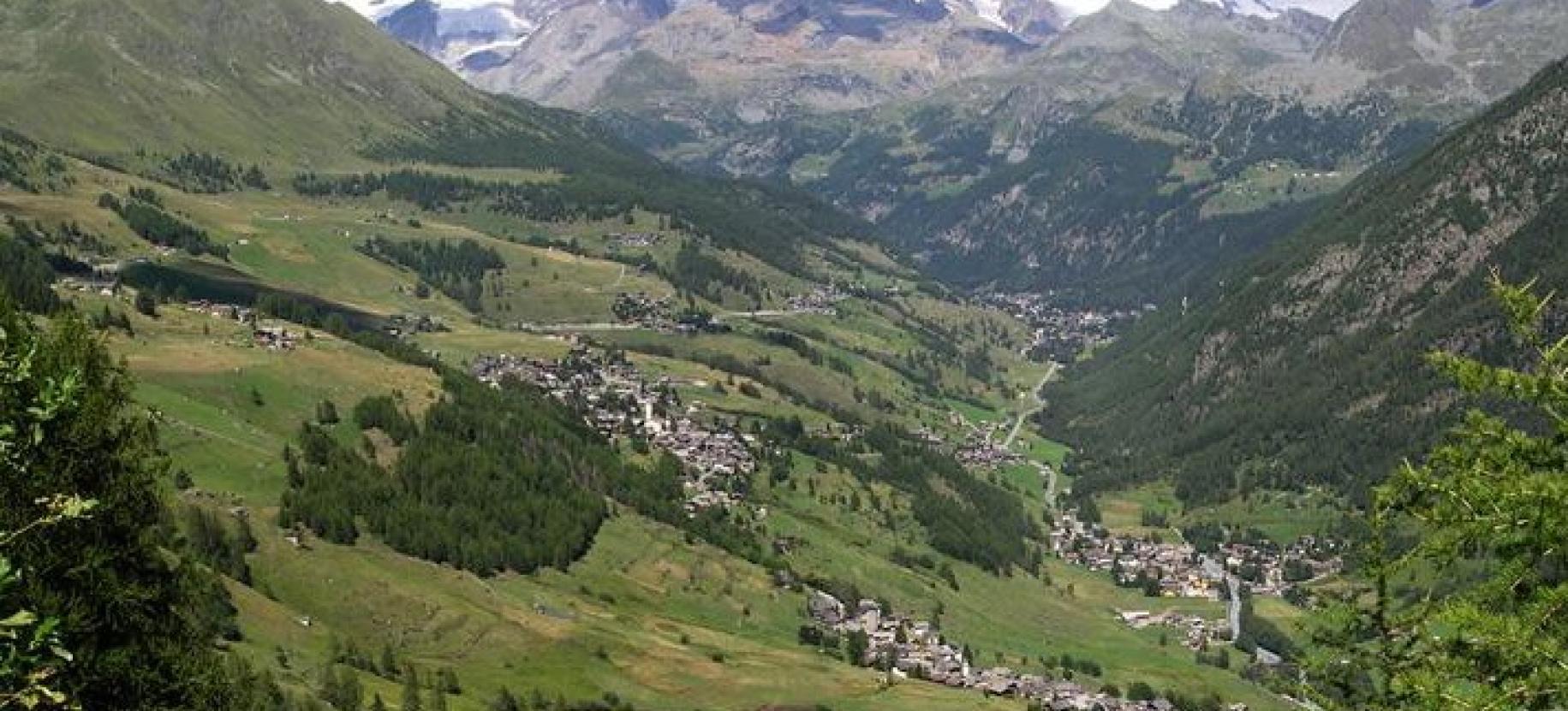 Les jardins sauveront le monde : les céréales parmi les sommets