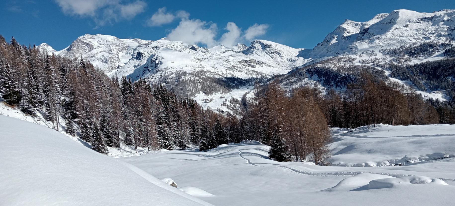 Snowshoeing in Val di Nanaz