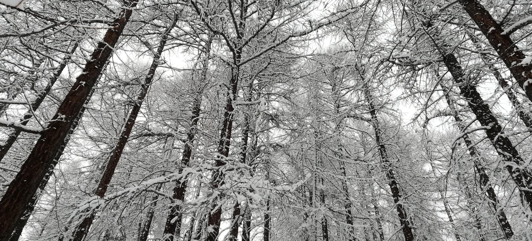 SNOWSHOE HIKE TO LAGO BLU