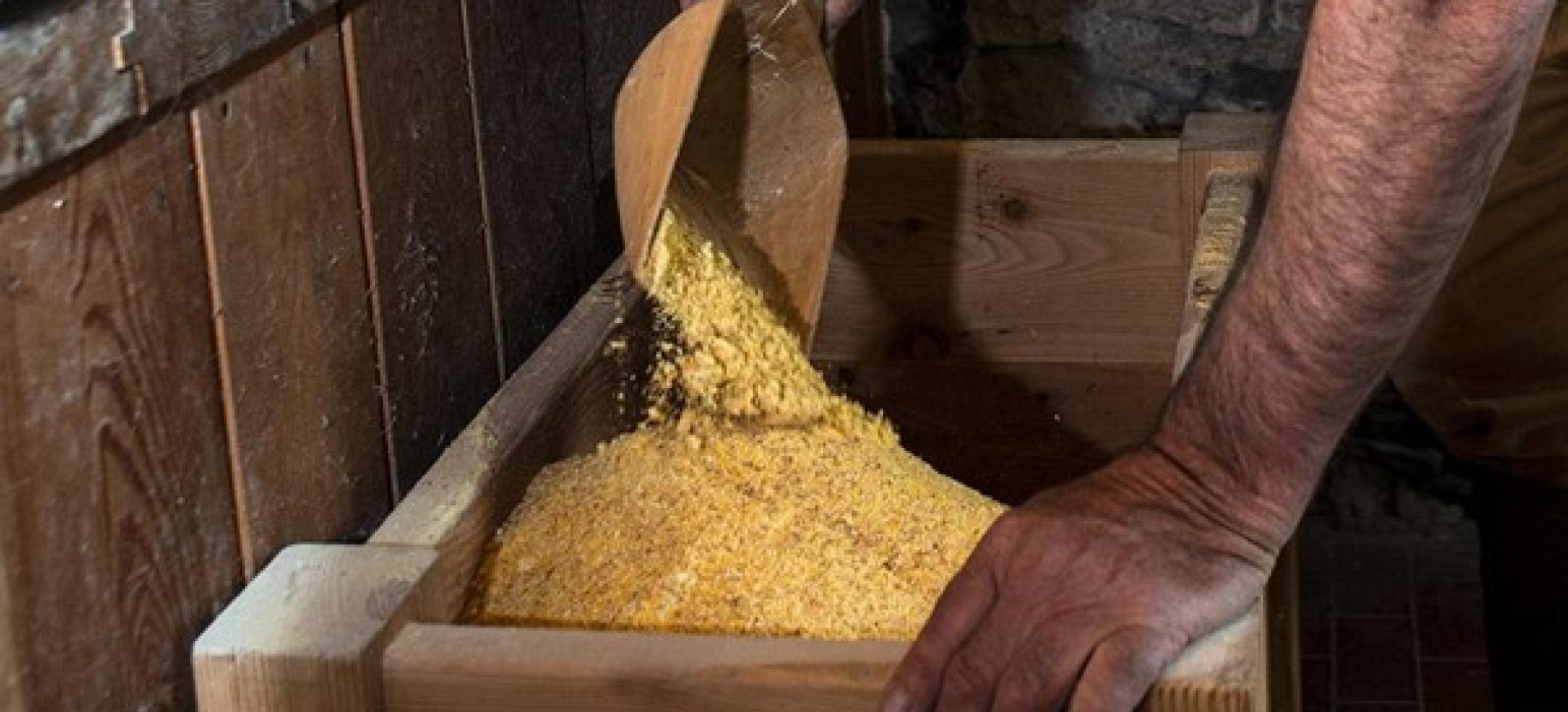 Monterosa Cheese Festival