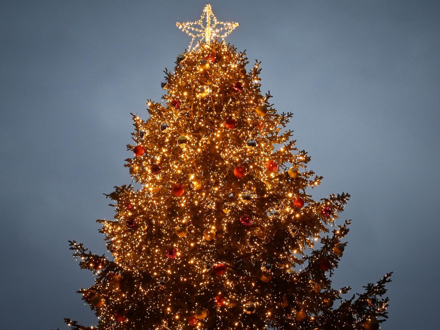 Éclairage du sapin de Noël Ayas