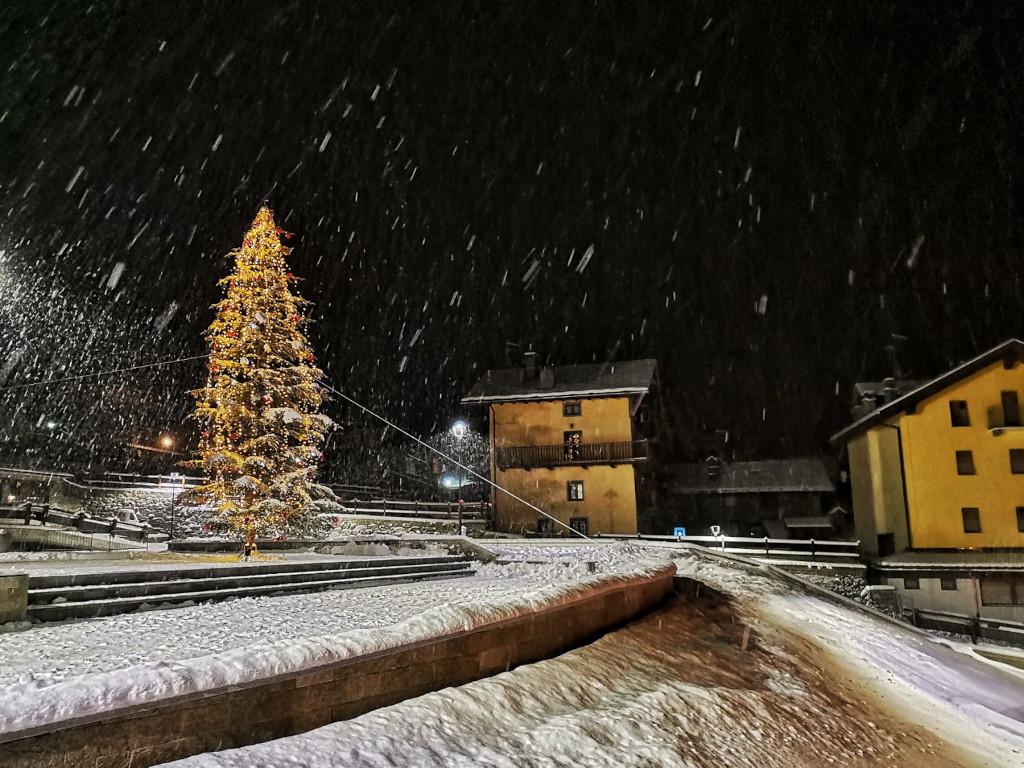 Christmas Tree Lighting