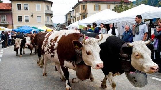 ANNULLATO - Fiera del Bestiame a Periasc