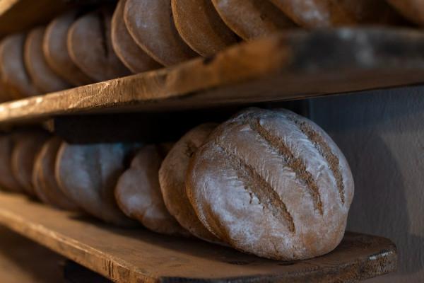 Discovering black bread, between Vollon and Extrepiéraz