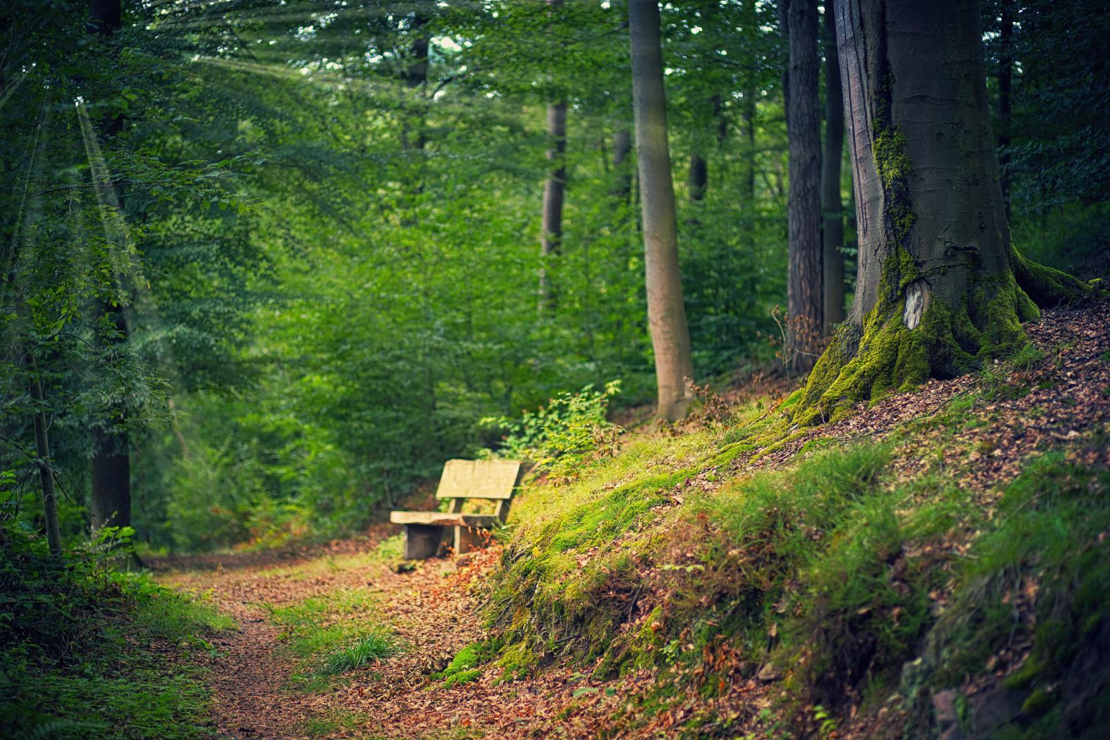fiabe nel bosco brusson 