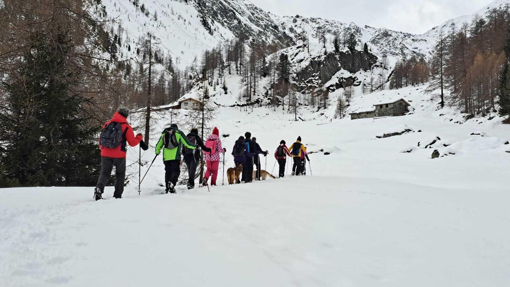 Snowshoeing in Val di Nanaz