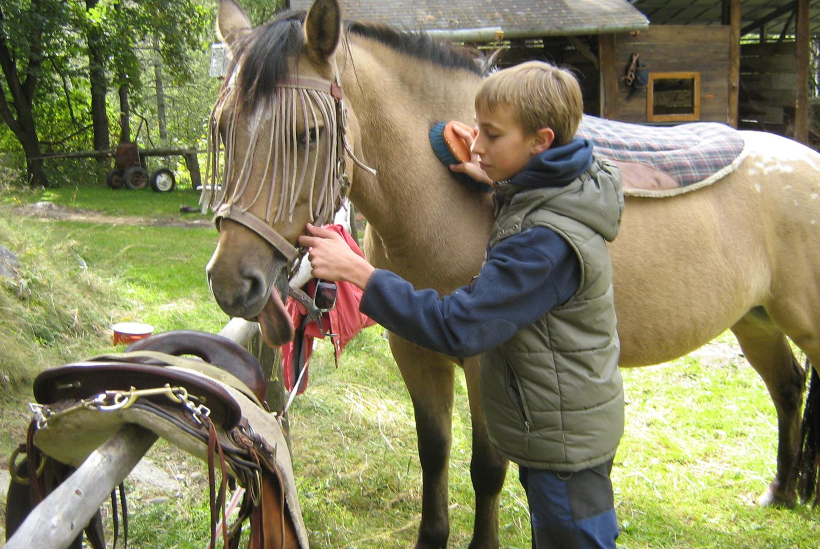 BRUSSON LES GUILLATES RIDING SCHOOL