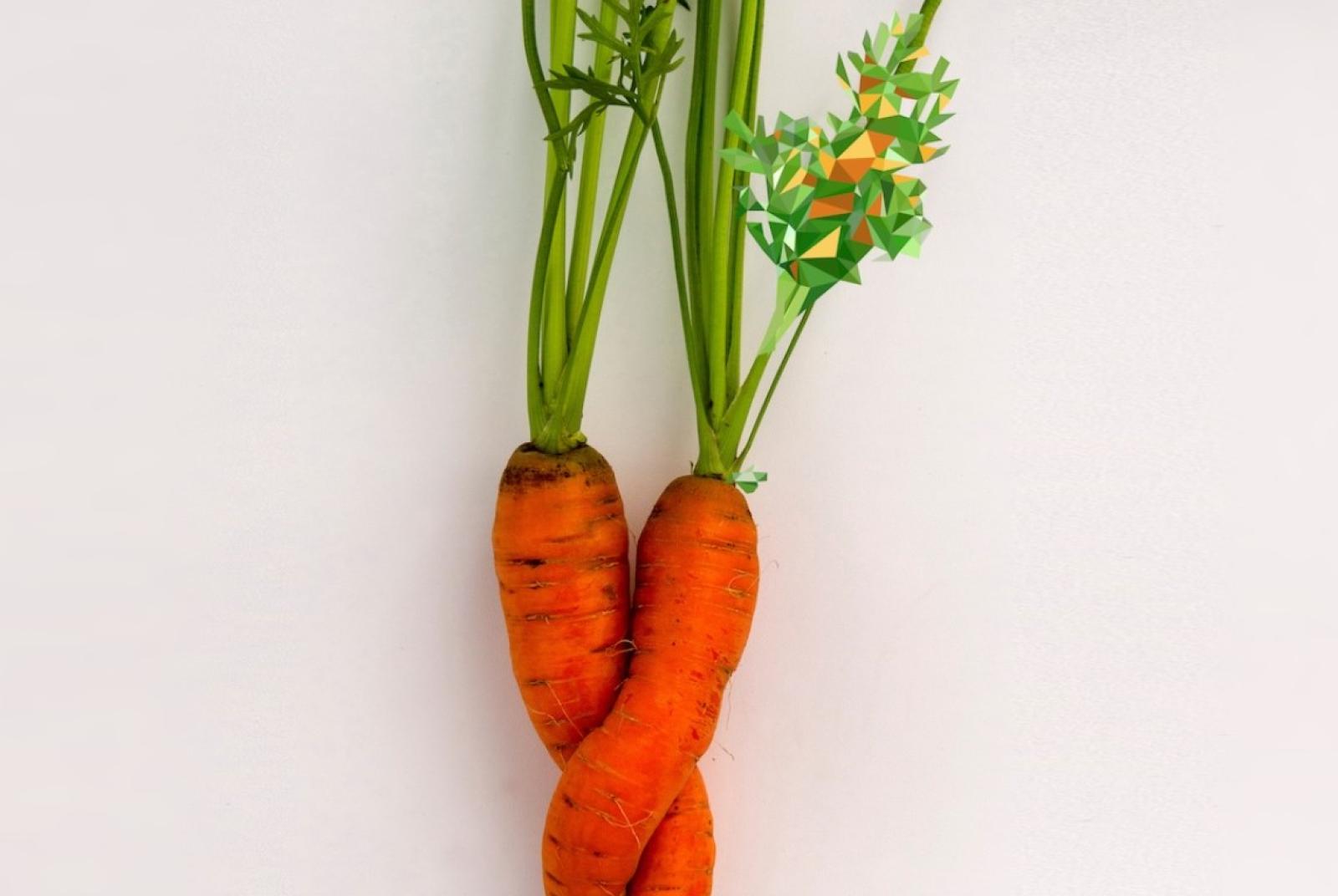 Les jardins sauveront le monde : les céréales parmi les sommets